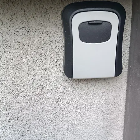 Jelena 贝尔格莱德