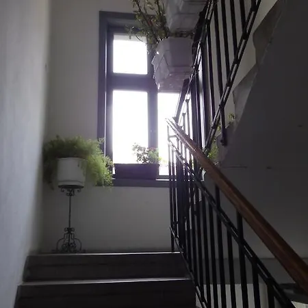 Jelena * Belgrade